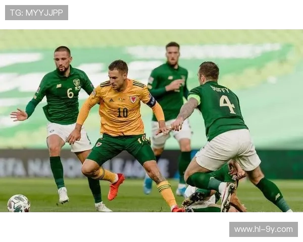 匈牙利与爱尔兰足球交锋历史与战术较量全景解析深度洞察